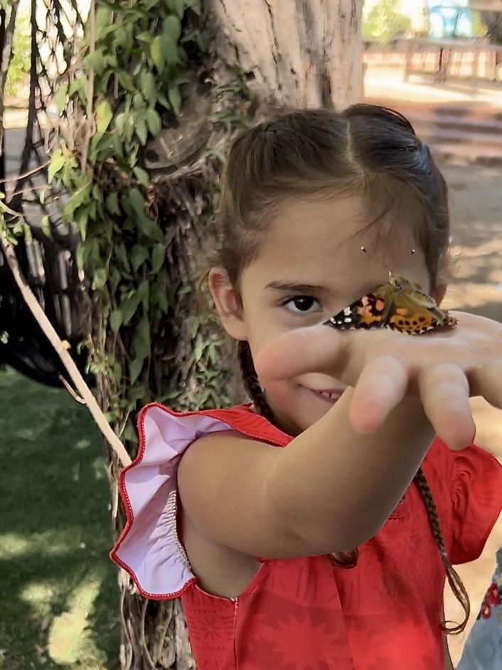 Nature study. How to raise butterflies.