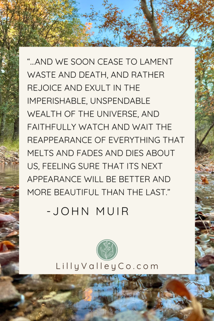 John Muir Quote on Autumn, renewal of all
