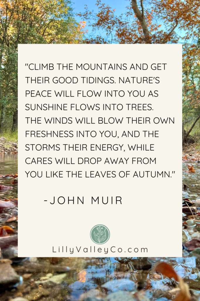 John Muir Quote on Autumn.